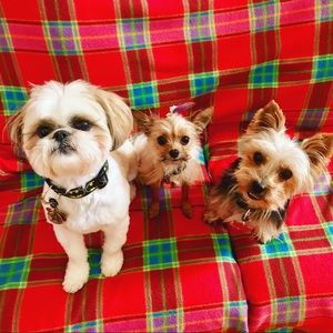 EVERYTHING MUST GO!! Our mom has too many clothes!